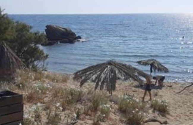 Old House Villa Moudros Kaminia Lemnos Holidays - Photo 25