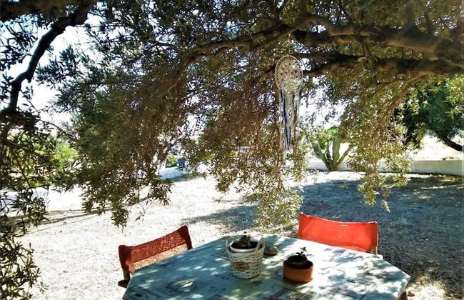 Studio With sea View - Foto 65