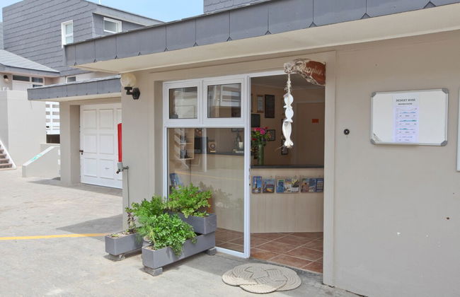 First Group Desert Rose - Foto 3