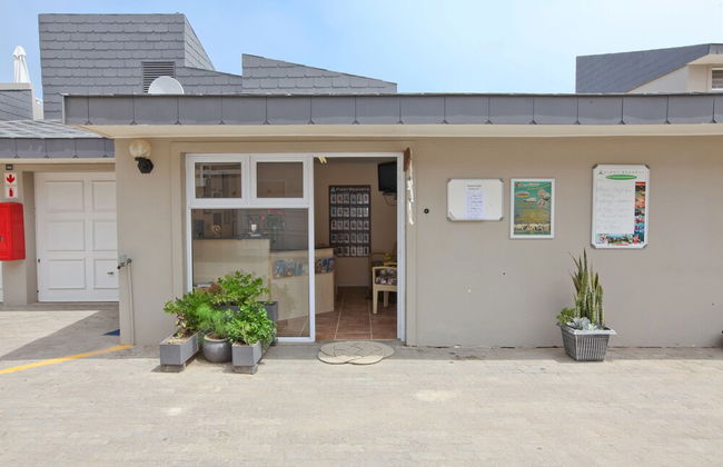 First Group Desert Rose - Foto 4