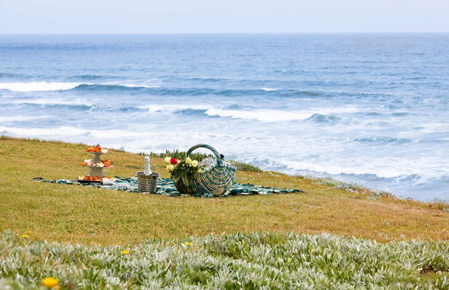 First Group Desert Rose - Foto 43