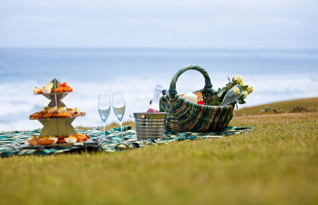 First Group Desert Rose - Foto 44