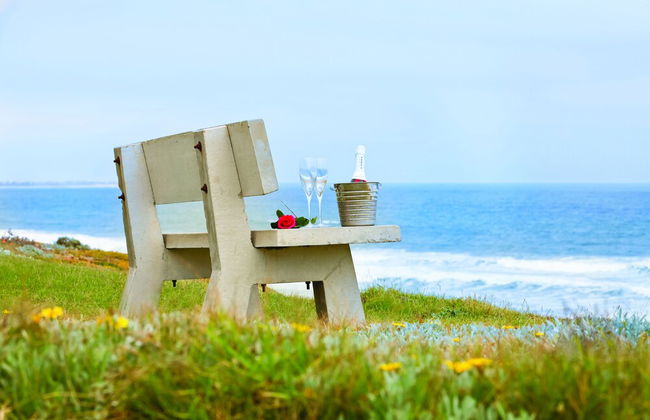 First Group Desert Rose - Foto 42