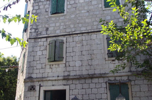 Photo 38 - Happy Jackdaw in the Center of Split