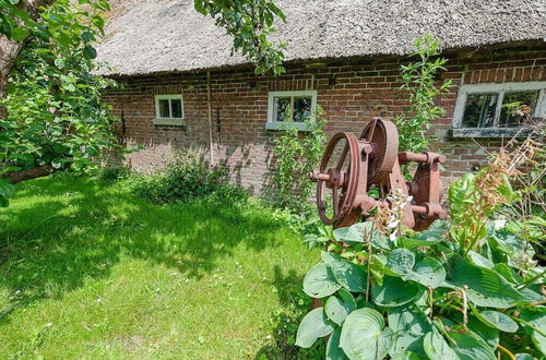 Photo 41 - Characteristic Headlong Hull Farm With Thatched Cover