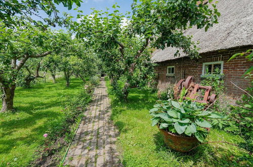 Photo 44 - Characteristic Headlong Hull Farm With Thatched Cover