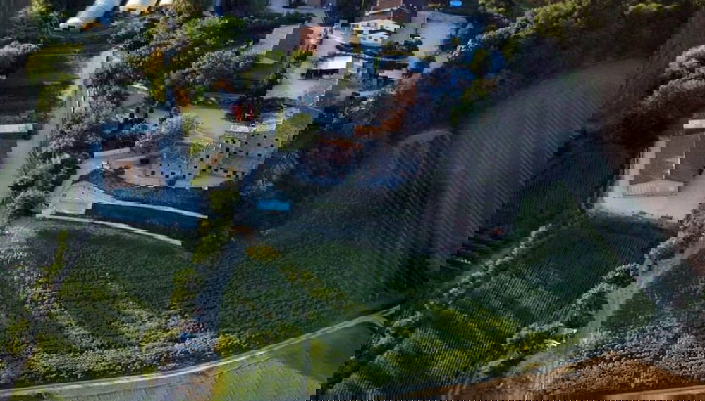Primary image