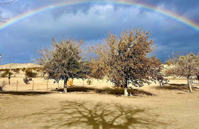 Desert WAY Ranch Oasis Hideaway - Photo 23