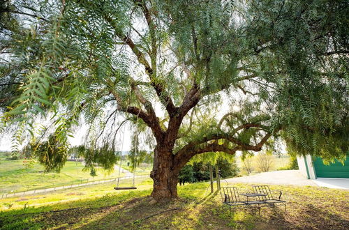 Foto 20 - Olive Ranch by Avantstay Enjoy Sunsets Over the Valley 4.5 Acre Ranch Home