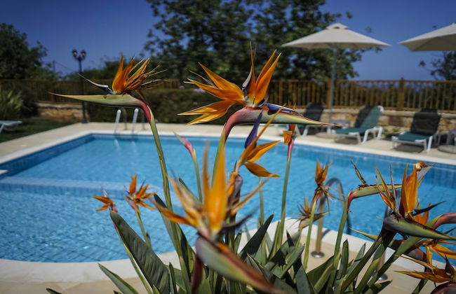Dafni - Gerani Villas With Private Pooi - Photo 1