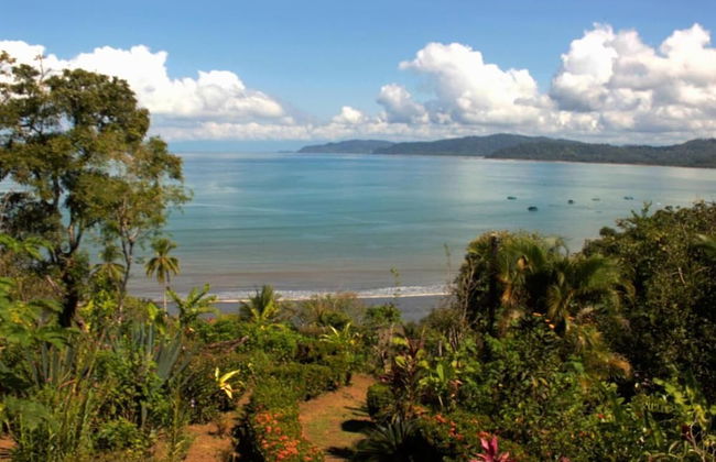 Beautiful House With Panoramic View of the bay and Gardens - Foto 31