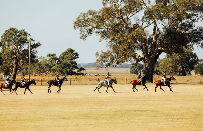 Mount William Station - Foto 55