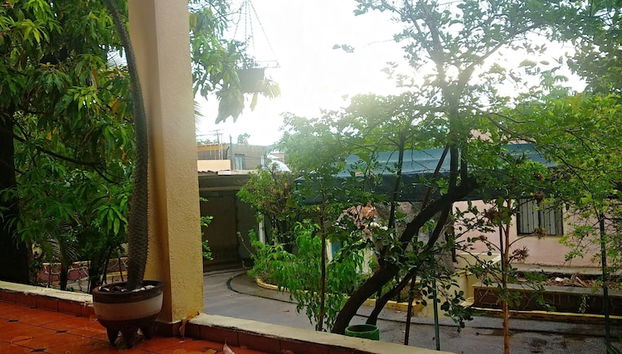 Jardim