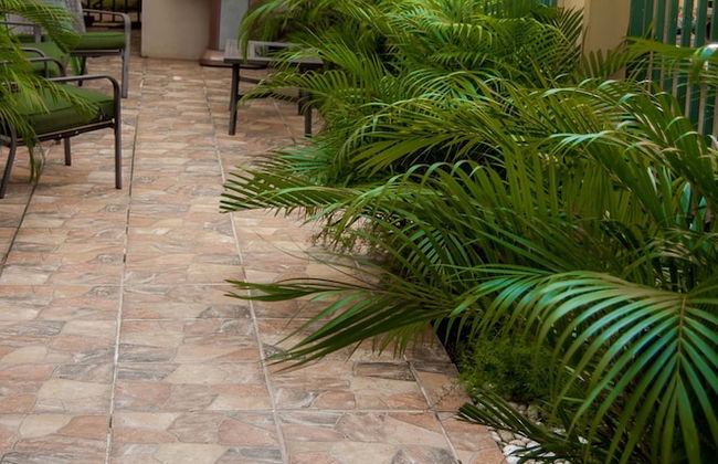 Wilderness Ramey Apartments - Foto 67