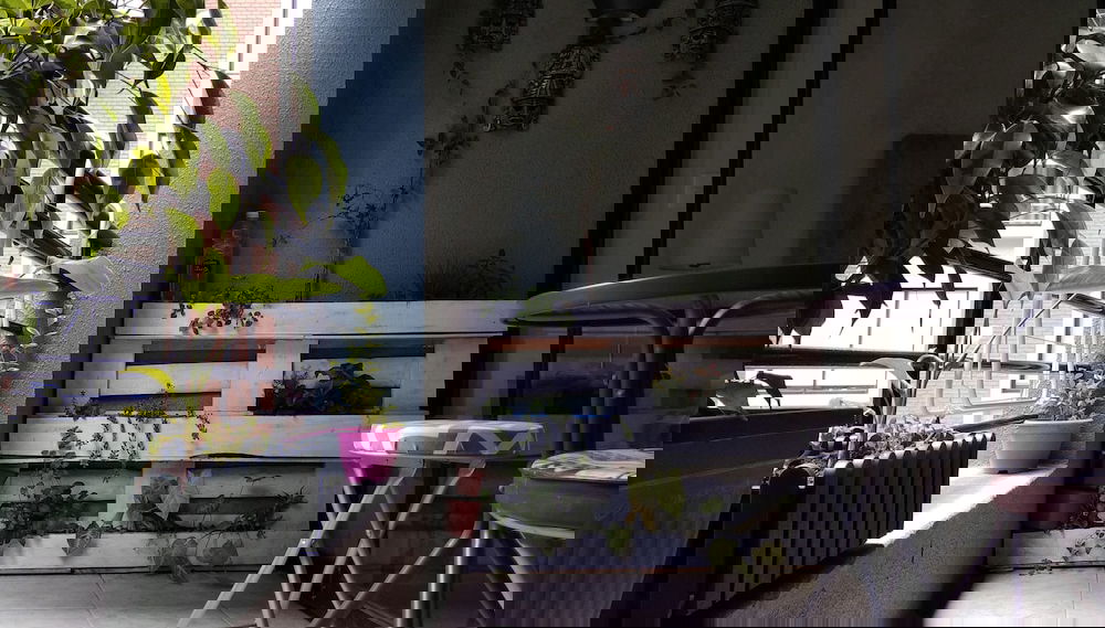 Image principale