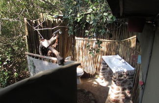 Foto 3 - 3 bed Bush-tent Under 3 Trees, for Couple Plus Chaperone Free Lionhyena Sounds