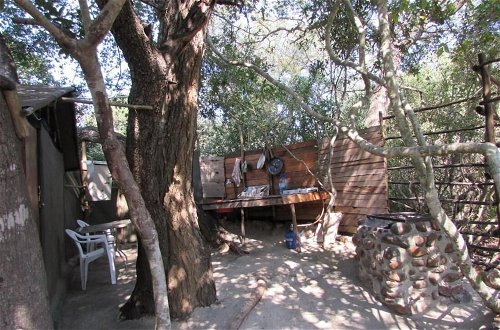 Photo 24 - 3 bed Bush-tent Under 3 Trees, for Couple Plus Chaperone Free Lionhyena Sounds