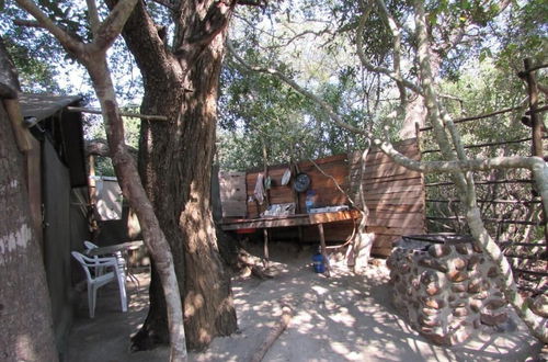 Foto 25 - 3 bed Bush-tent Under 3 Trees, for Couple Plus Chaperone Free Lionhyena Sounds