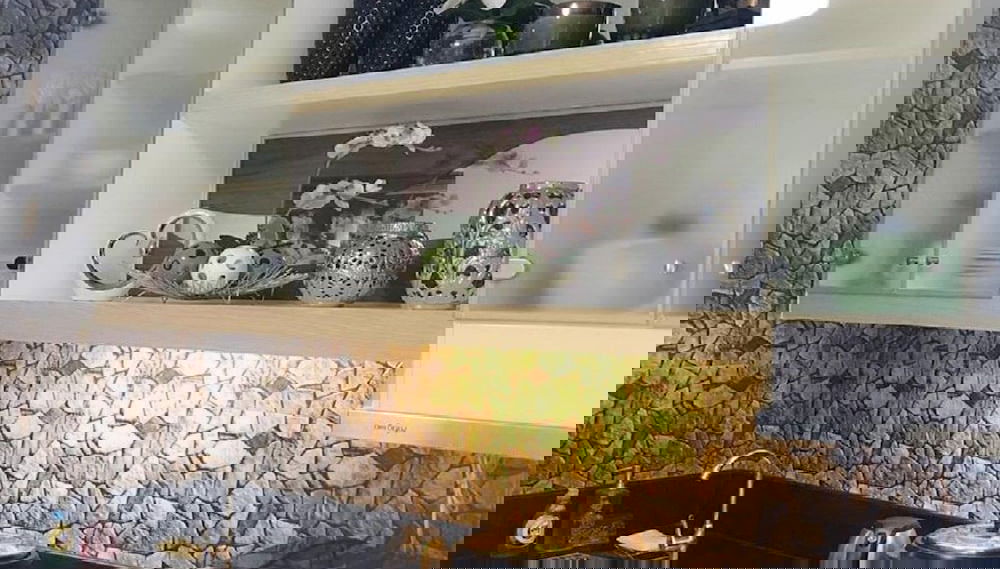 Imagem principal