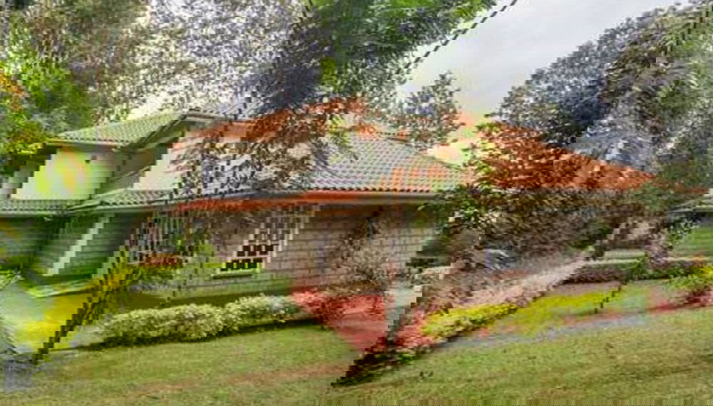 Imagem principal