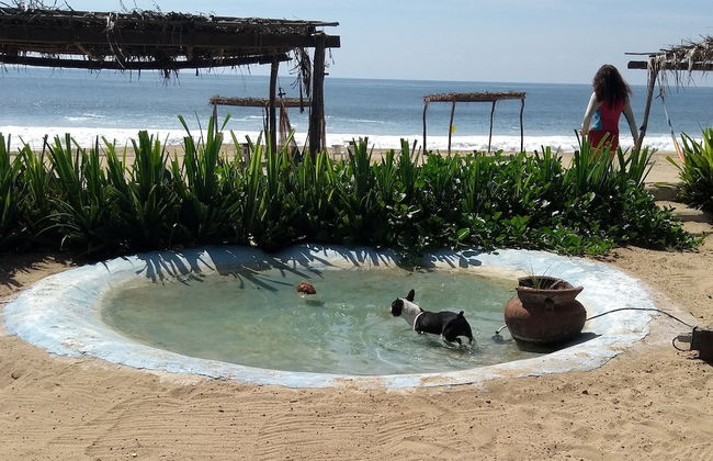 Small Luxury Hotel, Hideaway Near Acapulco on the Beach - Foto 13