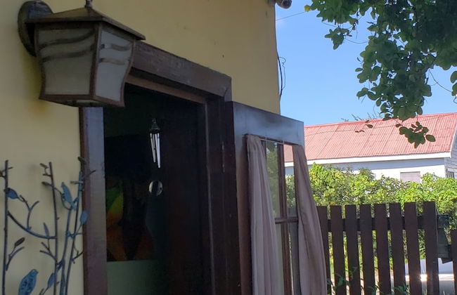 Touch Therapies Guest House - Foto 21