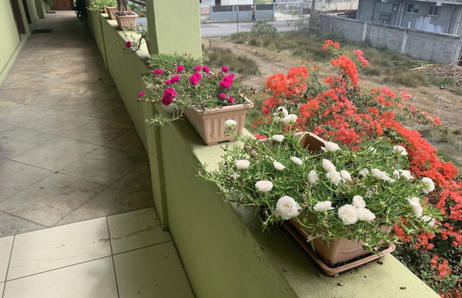 Touch Therapies Guest House - Foto 22