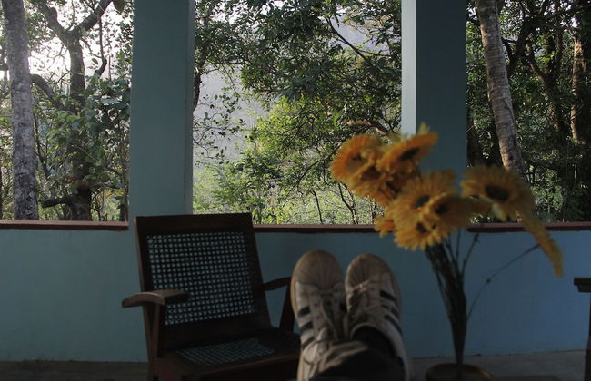 Mahagedara Home Stay - Foto 14