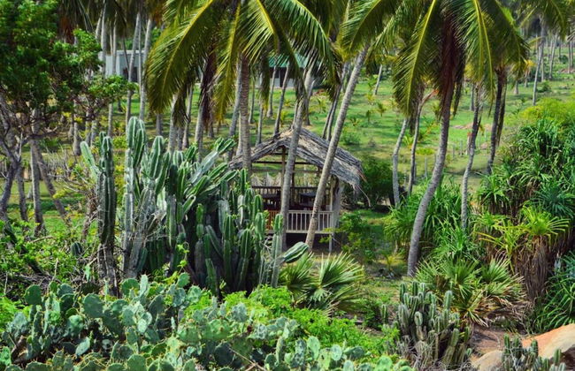 Redhill Yala - Foto 25