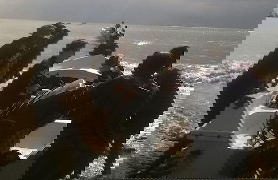 Redhill Yala - Foto 10