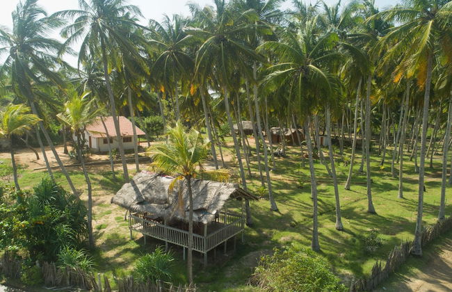 Redhill Yala - Foto 21