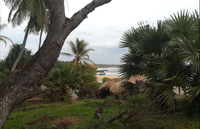 Redhill Yala - Foto 26