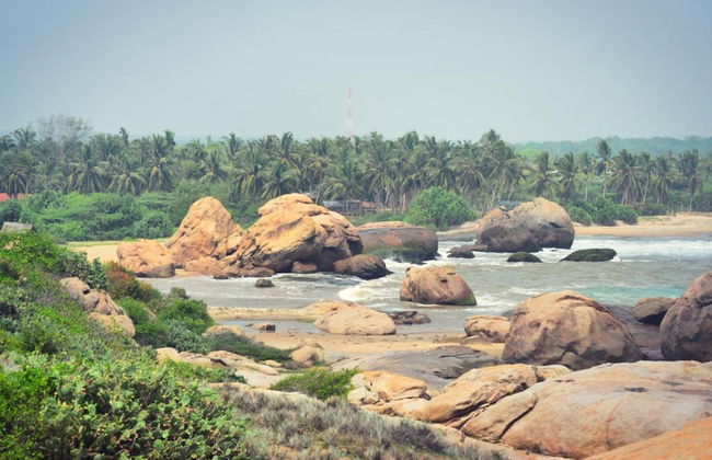 Redhill Yala - Foto 27