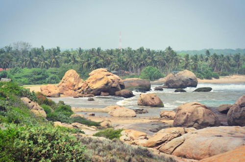 Photo 27 - Redhill Yala