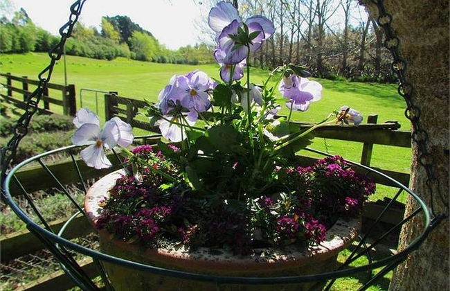 Christchurch City & Country Cottages - Nut Point Cottage - Foto 31