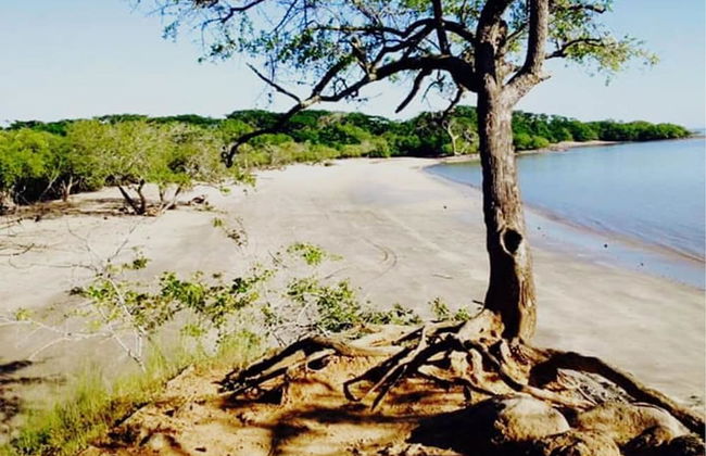 Hermosa Quinta en Costa Pájaros - Foto 17