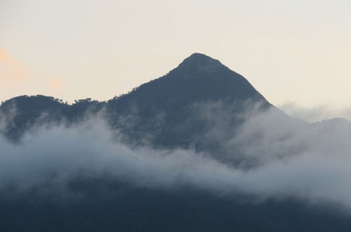 Photo 22 - Cottage Orange House Yakushima