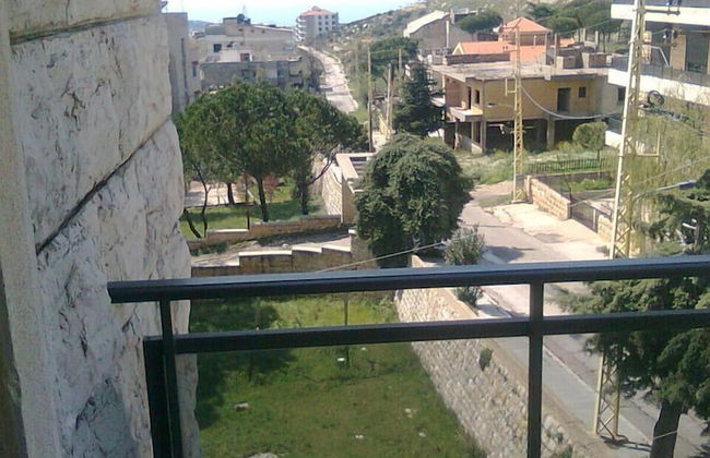 Wardini - Foto 17