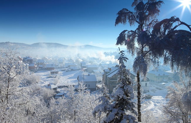 FAVAR Carpathians - Photo 35