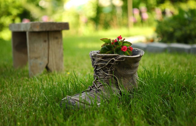 FAVAR Carpathians - Photo 62