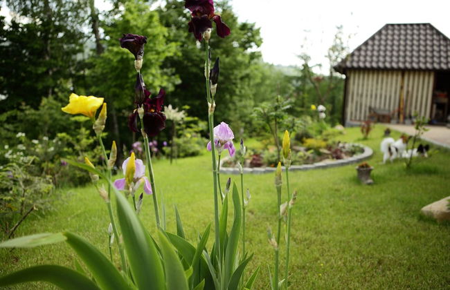 FAVAR Carpathians - Photo 65