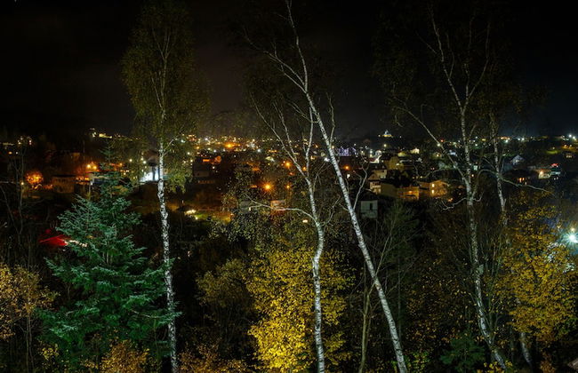 FAVAR Carpathians - Photo 36