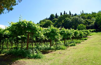 Foto 1 - Villa Faccioli Deodara With Shared Pool