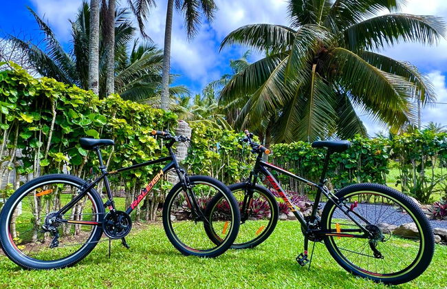 Rarotonga Daydreamer Escape - Foto 48