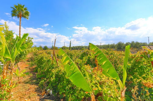 Photo 36 - The Vines in Latchi With 3 Bedrooms and 3 Bathrooms