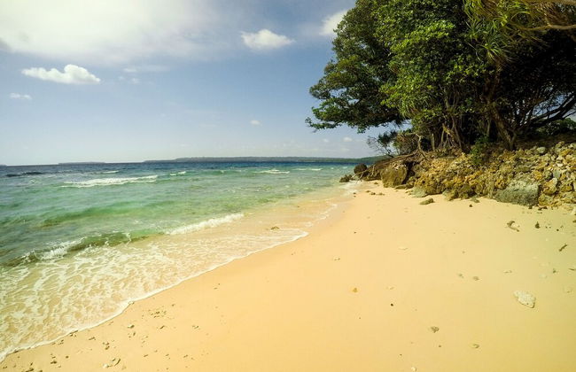 Aore Breeze - Photo 17