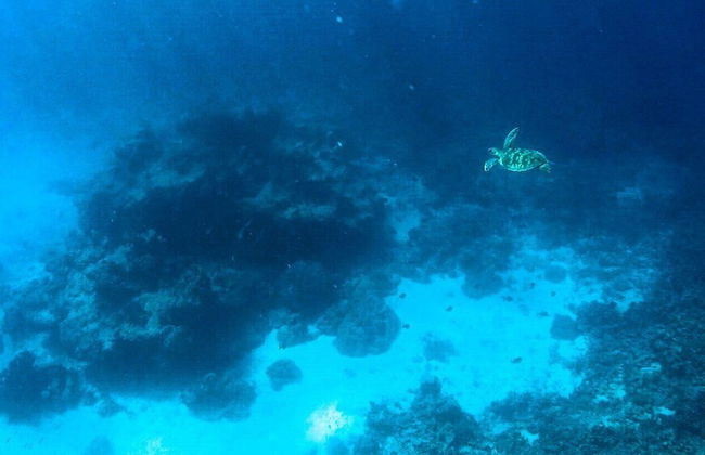 Aore Breeze - Photo 20