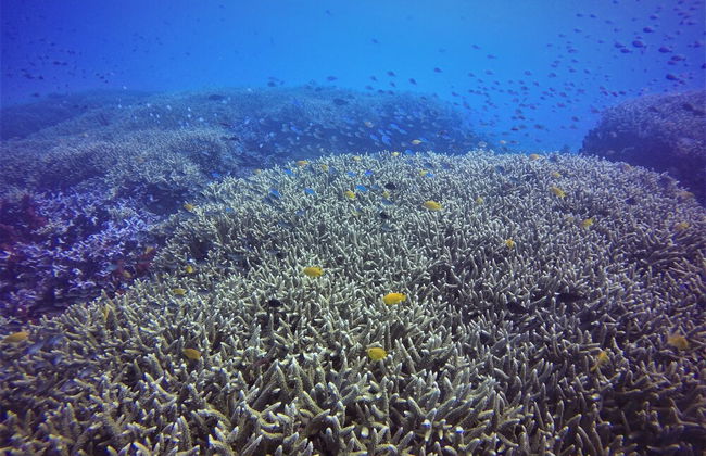 Aore Breeze - Photo 19