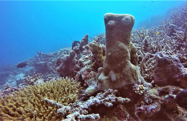 Aore Breeze - Photo 15