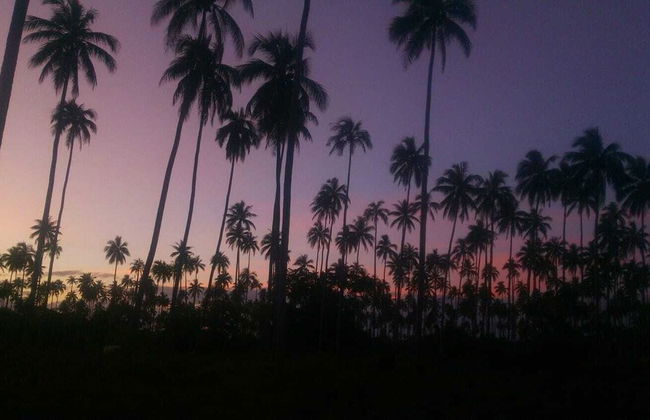 Aore Breeze - Photo 12